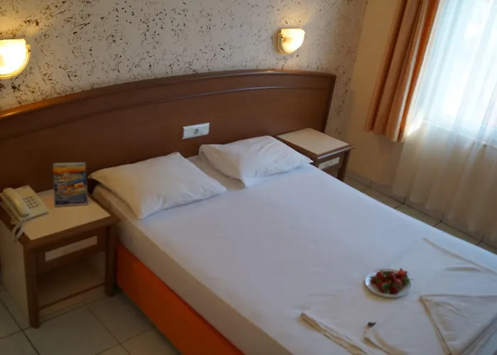 Damlatas Elegant 3*