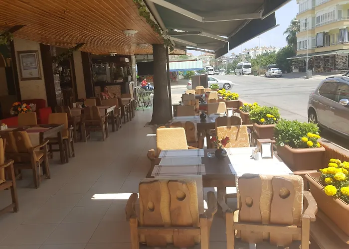 Damlatas Elegant Αλάνια