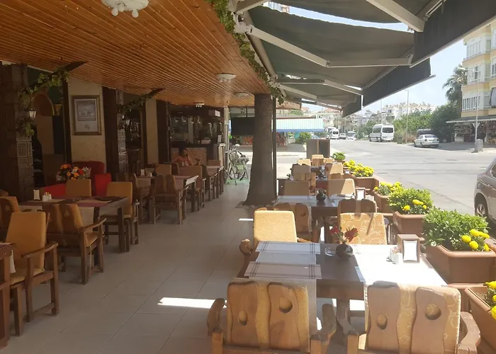 Damlatas Elegant 3* Αλάνια