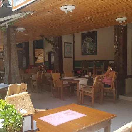 Damlatas Elegant Hotel apartamentowy Alanya