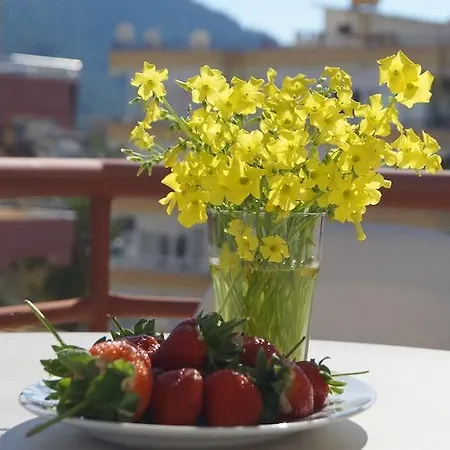 Damlatas Elegant アランヤ