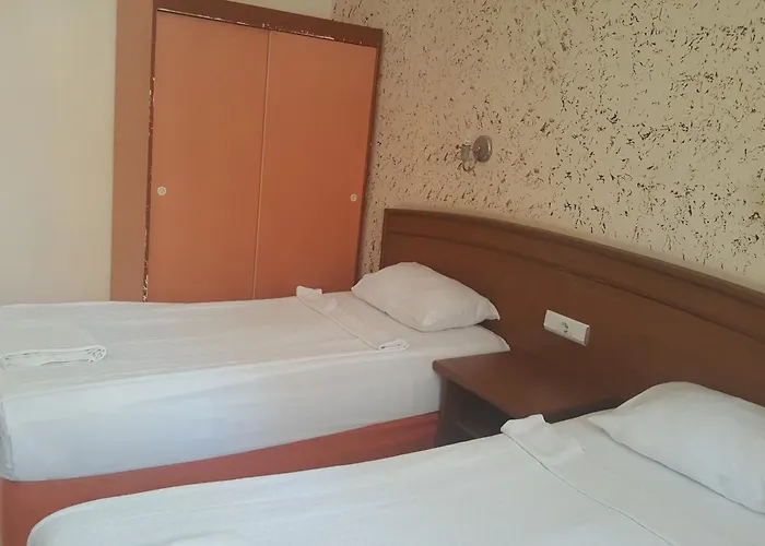 Damlatas Elegant 3*