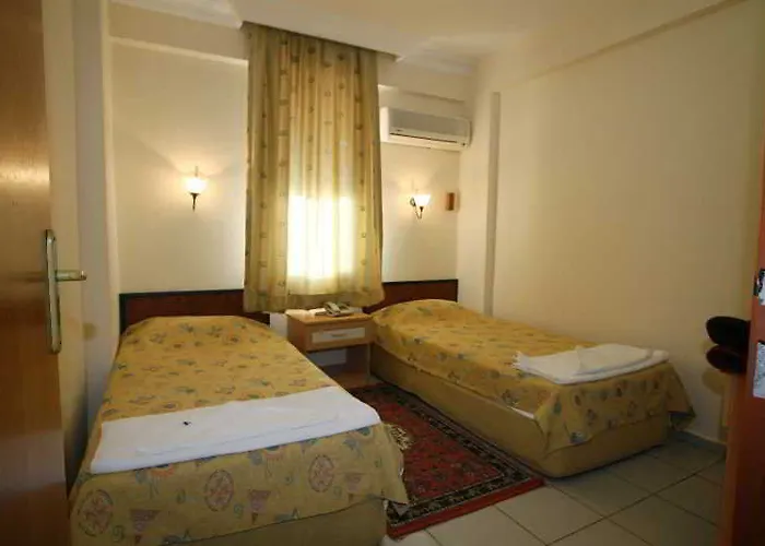 Damlatas Elegant 3*